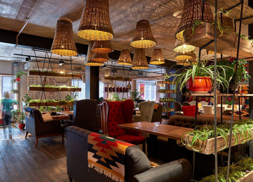 Проект для клиента Pro Плов ресторан г. Тамбов от CorsaStyle