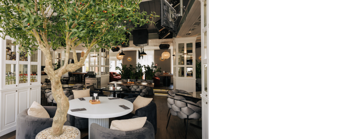 Бар «Варвара». Особенности интерьера. Бар «Варвара». Особенности интерьера.